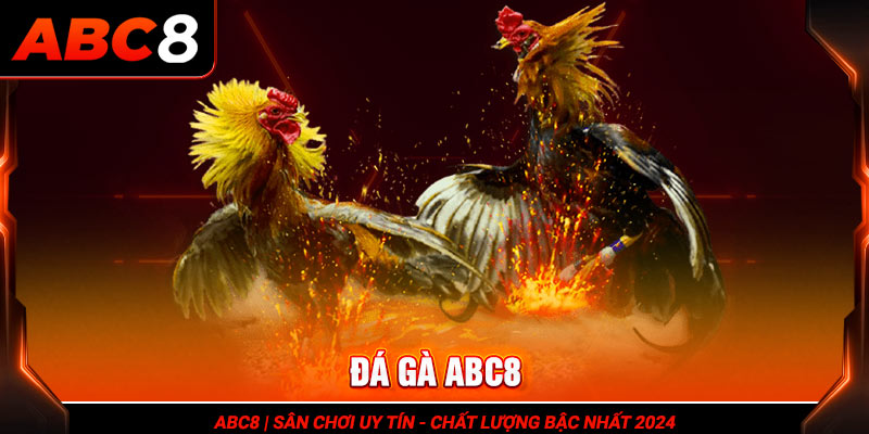 Giới thiệu sảnh đá gà tại ABC8