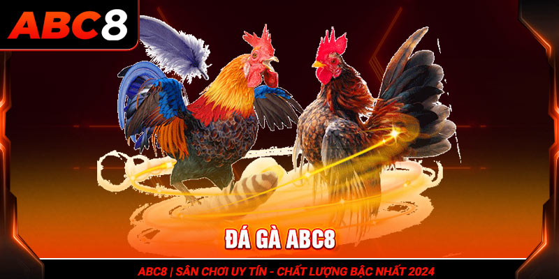 Ưu điểm của sảnh đá gà tại ABC8